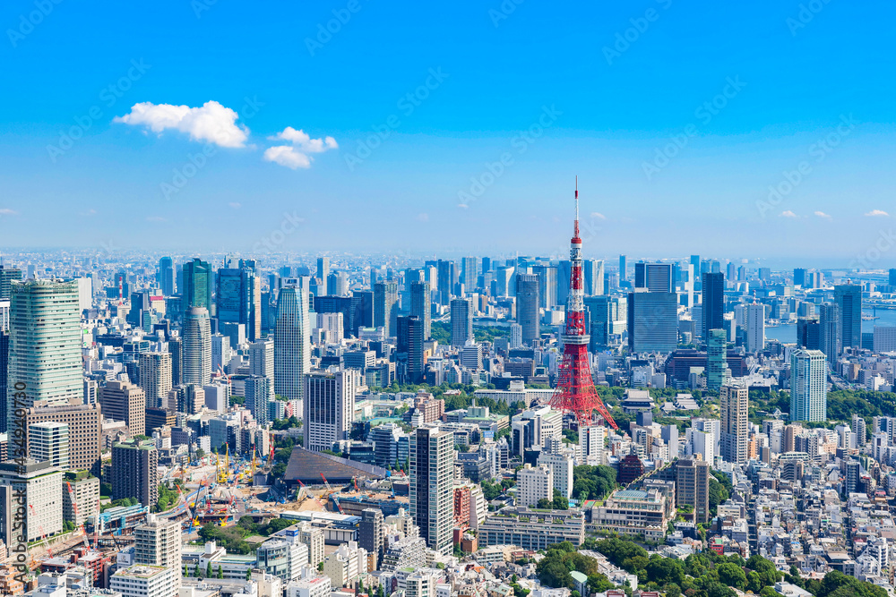 Fototapeta premium 東京 青空と都市風景