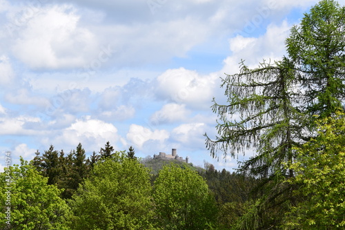 Blick zur Nürbrug von Westen photo