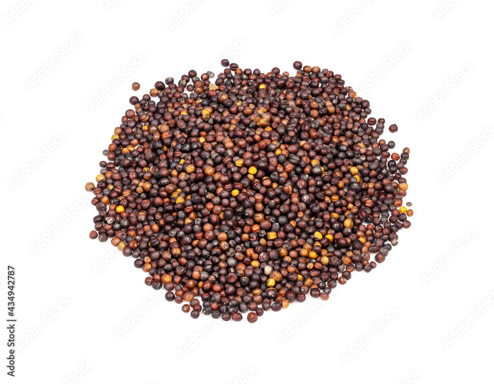 handful of rapeseeds closeup on white handful of rapeseeds closeup on white