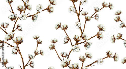 Beautiful hand-drawn vector seamless border with cotton branches. Perfect for wallpapers, web page backgrounds, surface textures, textiles.
