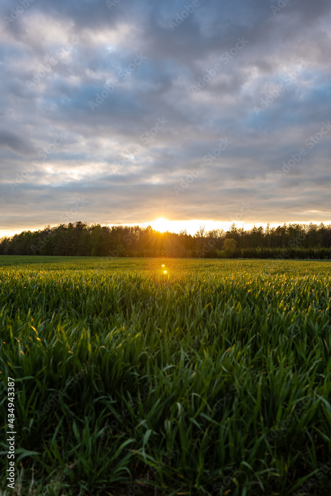 Evening Walk in the Afternoon Evening Walk in the Afternoon