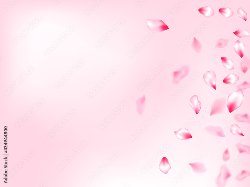 Spring tree flowers parts, airy flying petals Spring tree flowers parts, airy flying petals