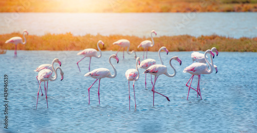 Manyas Bird Paradise National Park - Balikesir, Turkey