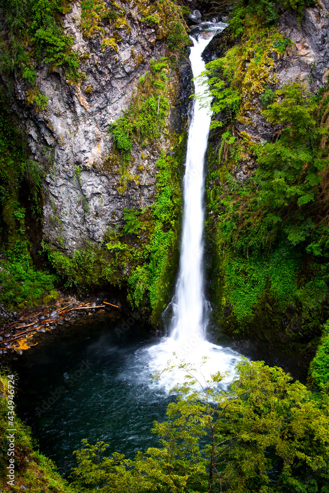 waterfall in the forest