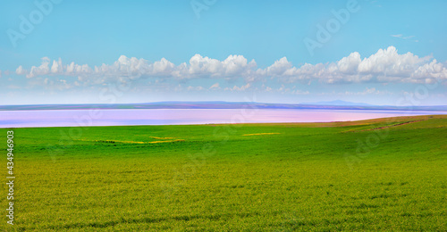 Fototapeta Naklejka Na Ścianę i Meble -  Beautiful landscape with pink salt lake  green grass field in the foreground - Ankara, Turkey