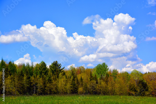 Spring landscape Quebec province Canada photo