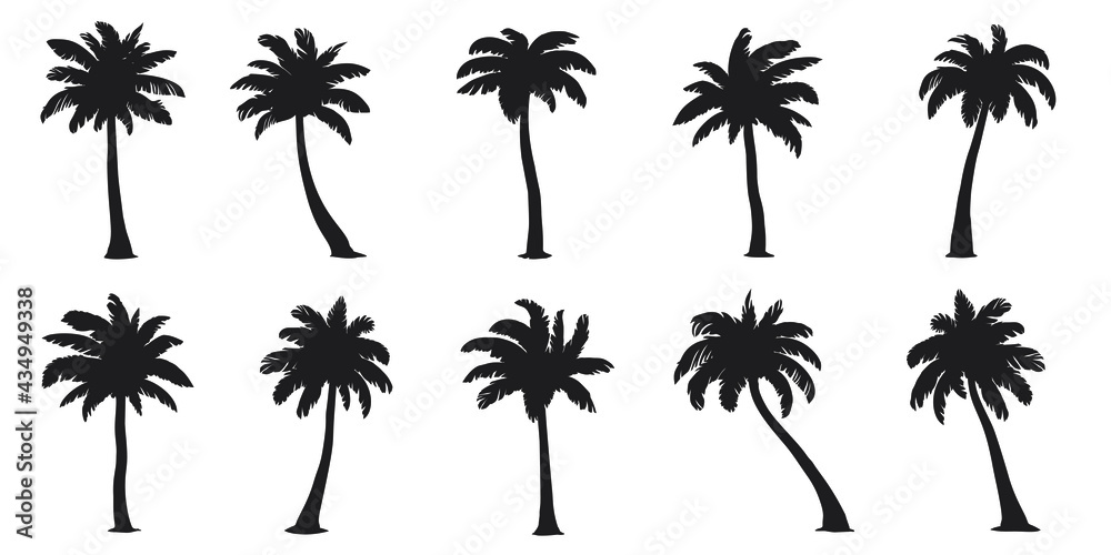 various coconut palm silhouettes on the white background