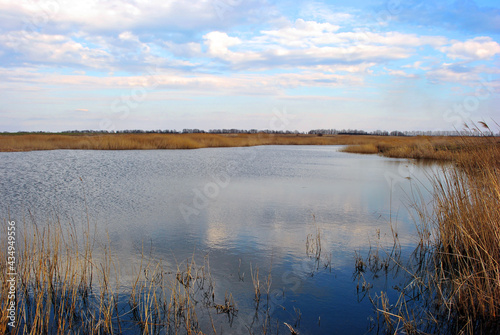 Lake with dry yellow reeds around, bright blue cloudy sky reflecting on water