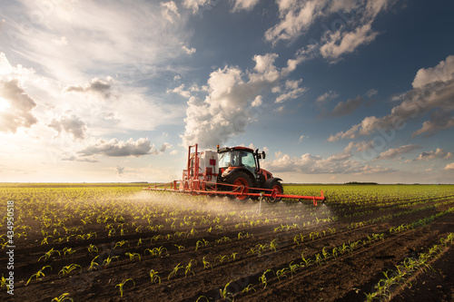 Tractor spraying corn field