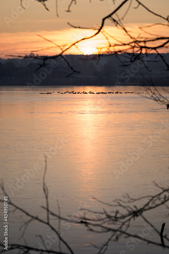 Birds in a group on the surface of a frozen lake at sunrise.