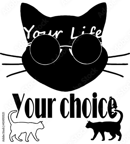 Cat with glasses.
Your life is your choice, black or white cats, good or bad life.