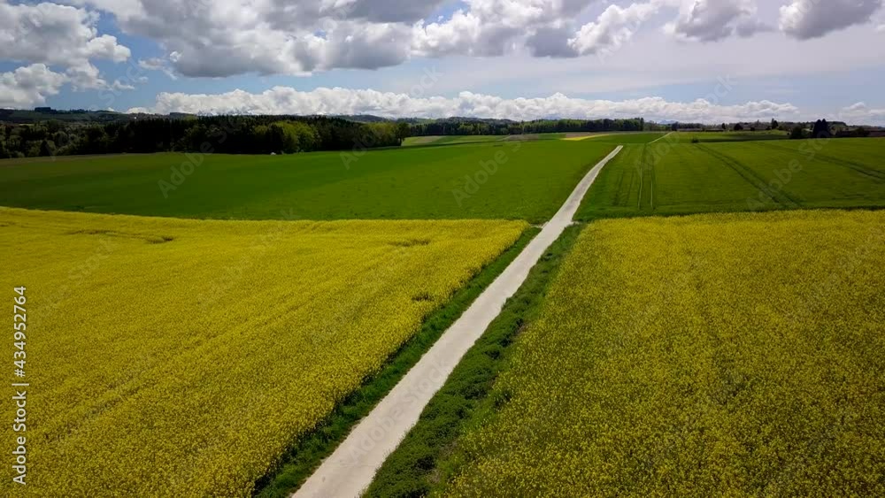 survol en drone en tournant à gauche lentement à basse altitude au-dessus d'un champ de colza jaune sous le soleil tamisé dans un ciel bleu voilé par de gros nuages blancs