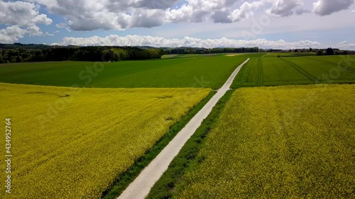 survol en drone en tournant à gauche lentement à basse altitude au-dessus d'un champ de colza jaune sous le soleil tamisé dans un ciel bleu voilé par de gros nuages blancs