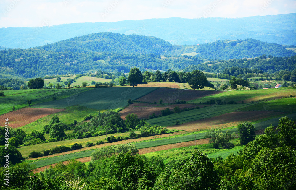 landscape with green fields and hills