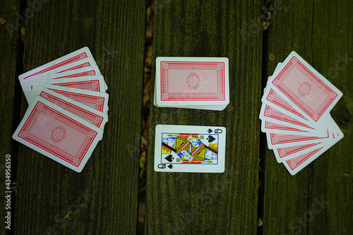 Playing Cards in the Woods