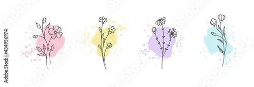 Minimalistic floral botanical elements on a background of colored shapes. Logo design templates in linear style. Collection abstract modern trendy vector illustration