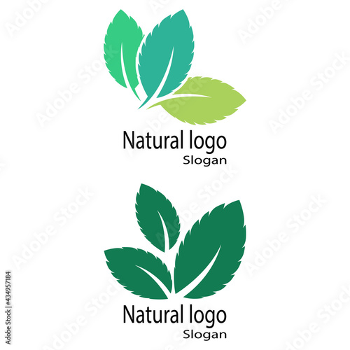 Mint leaves flat vector color icon template