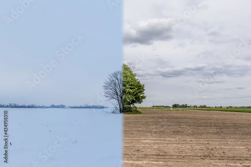 Panel kuchenny z motywem Zima wiosna, dwie różne pory roku, śnieg, brak śniegu, drzewa