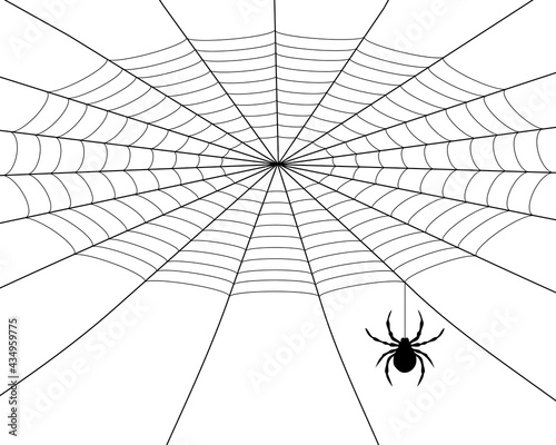 Spider weaves a web, black silhouette on a white background