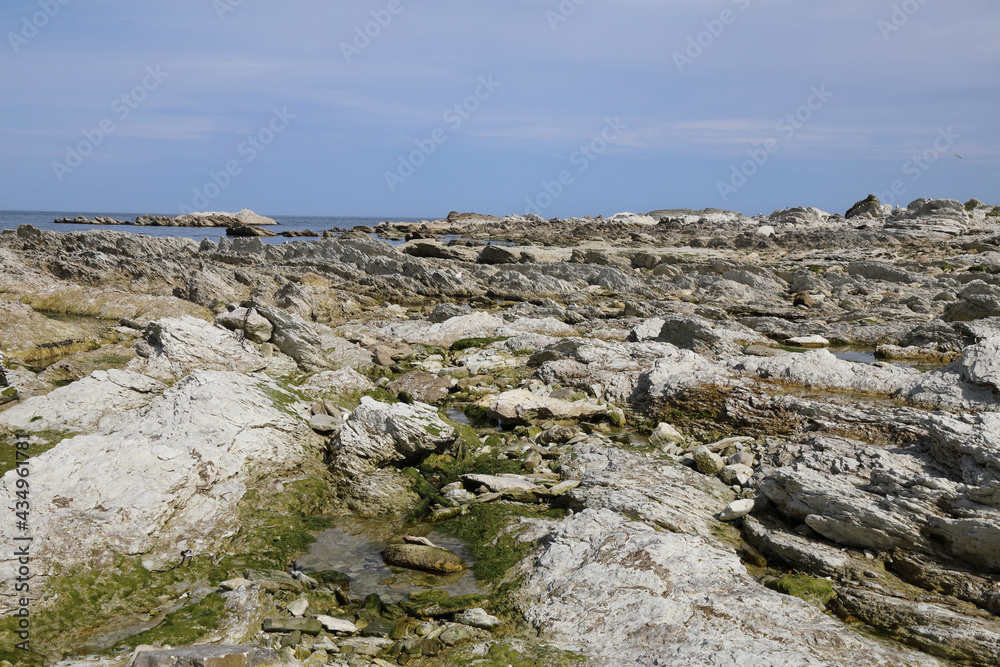 Küste Kaikoura / Kaikoura coast /