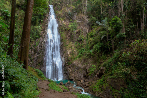 Waterfall, New Zealand, Forest, Rainforest, Stream - Body of Water