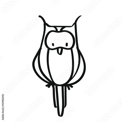 owl