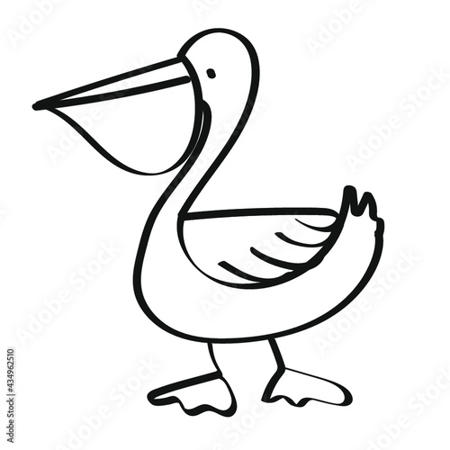 pelican