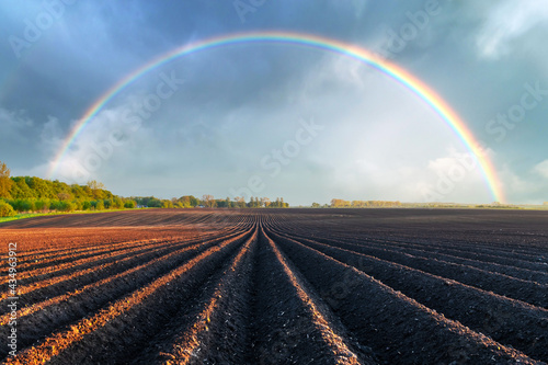 Agricultural field with even rows in the spring