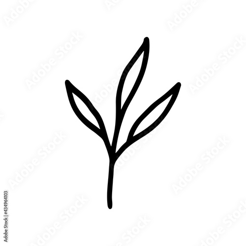 Hand-drawn botanical element on white background. Black plant doodle vector. © FRESH TAKE DESIGN