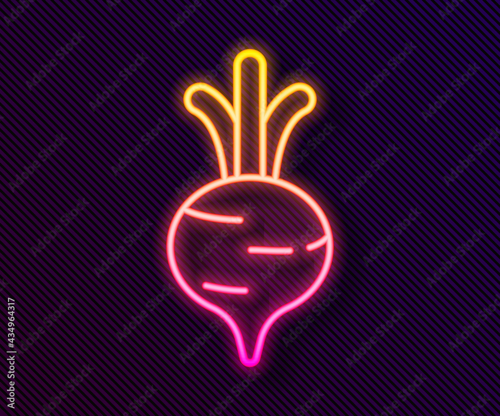 Obraz premium Glowing neon line Fresh beet with leaf icon isolated on black background. Natural Root. Vegetable Ingredient for food. Vector