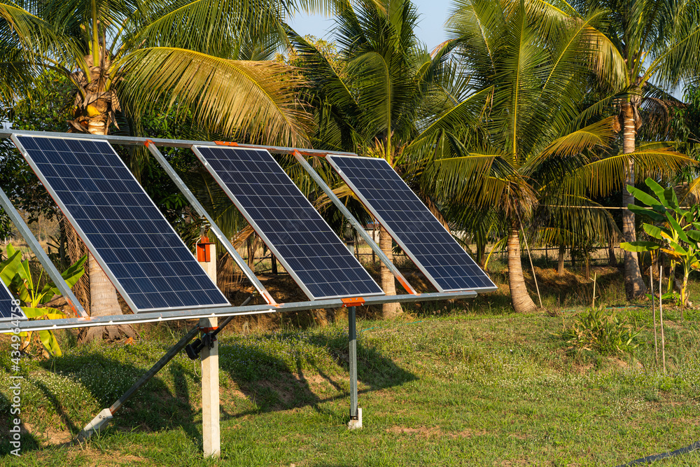 power solar panel for agriculture in a rural houses area Agricultural fields blue sky background,Agro-industry of household Rural style in Thailand, smart farm alternative clean green energy concept