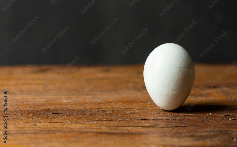 stand egg