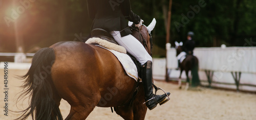 rider on a horse in a dressage competition. rear view. sunlight. copyspace