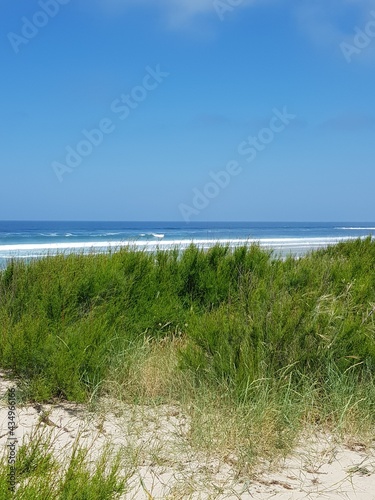 beach and sea