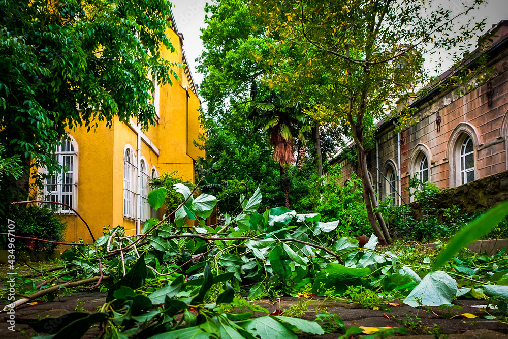 Obraz premium a church garden in istanbul over the leaves