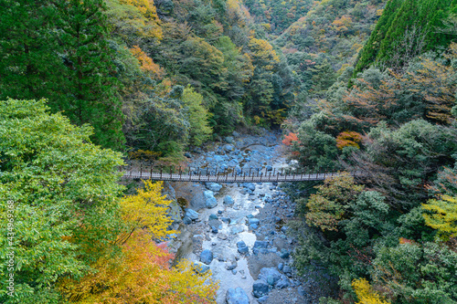 日本の秘境紅葉「川辺川・樅木の吊橋」上段：あやとり橋から撮影 「五家荘」標高1300m～1700m Japan's unexplored autumn leaves 