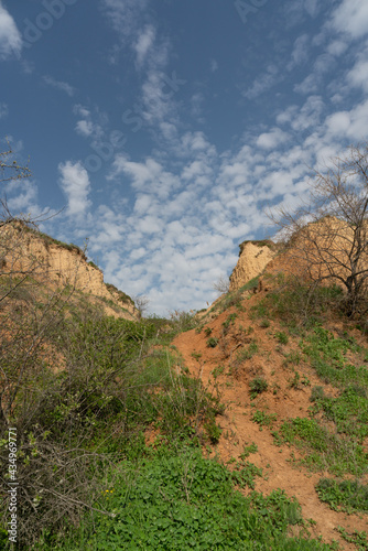 Dry tree and steep sandy cliffs against the background of a blue sky with clouds.