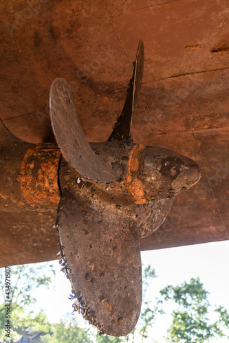 Fixed blade propeller and rudder with shells. Cargo vessel ashore on ship repairing yard.