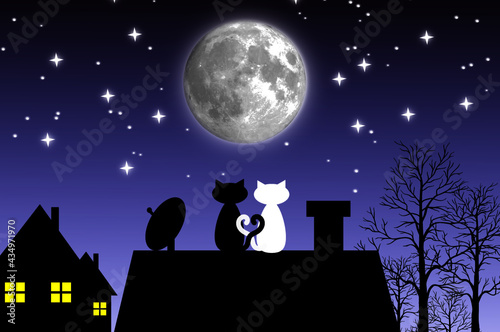 A couple of cats on the roof of the house look at the full moon and the starry sky. Illustration. vector