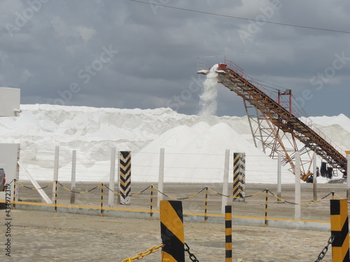 salt extraction