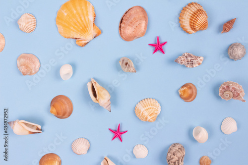 Mix of sea shells on blue background. Summer time vacations concept. Selective focus