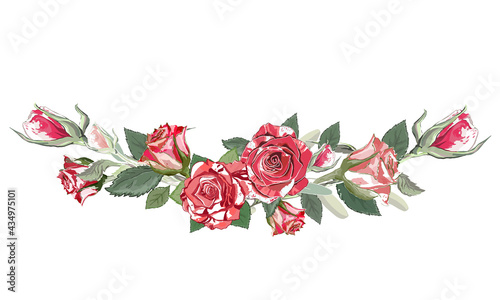 Border roses  on a white background. Vector illustration. Vintage floral elements. Use for decoration, cards, frames, flyers, banners, invitations, greetings, messages, etc. 