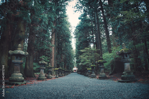 Plakat 神社へ続く参道