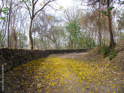 Camino hacia la laguna de Apoyo. Reserva Natural Laguna de Apoyo se ubica entre los departamentos de Masaya y Granada. photo
