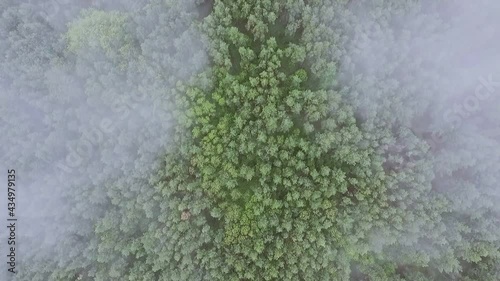 Wallpaper Mural The arc is a secret object of the USSR, shot from above in the middle plan. Chernobyl city 2 Torontodigital.ca