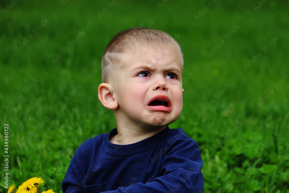 little boy sits on the grass. Selective focus little boy sits on the grass. Selective focus
