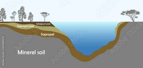 Sapropel and peat in nature. Structure of pond and marsh with bottom sediments. Vector illustration EPS10