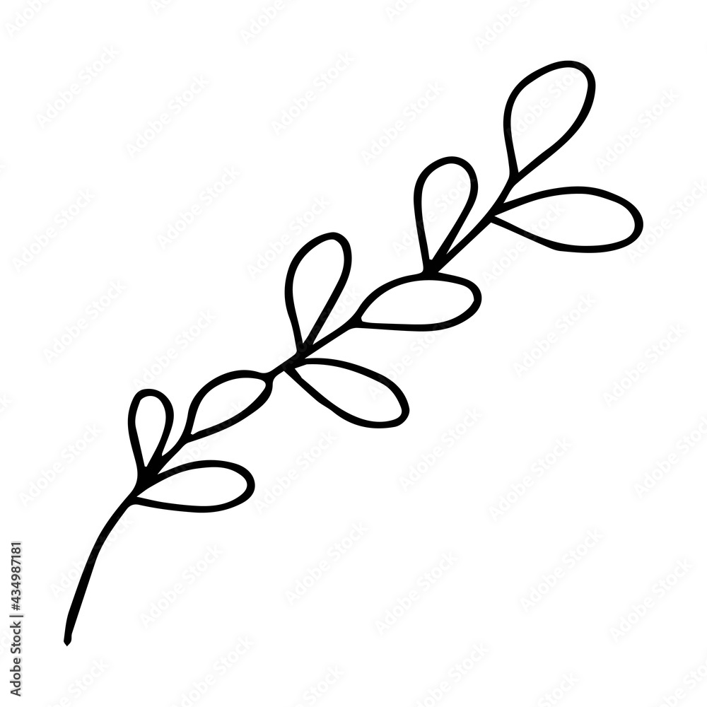 Vector illustration with a twig. Doodle style plant vector for banners and postcards.