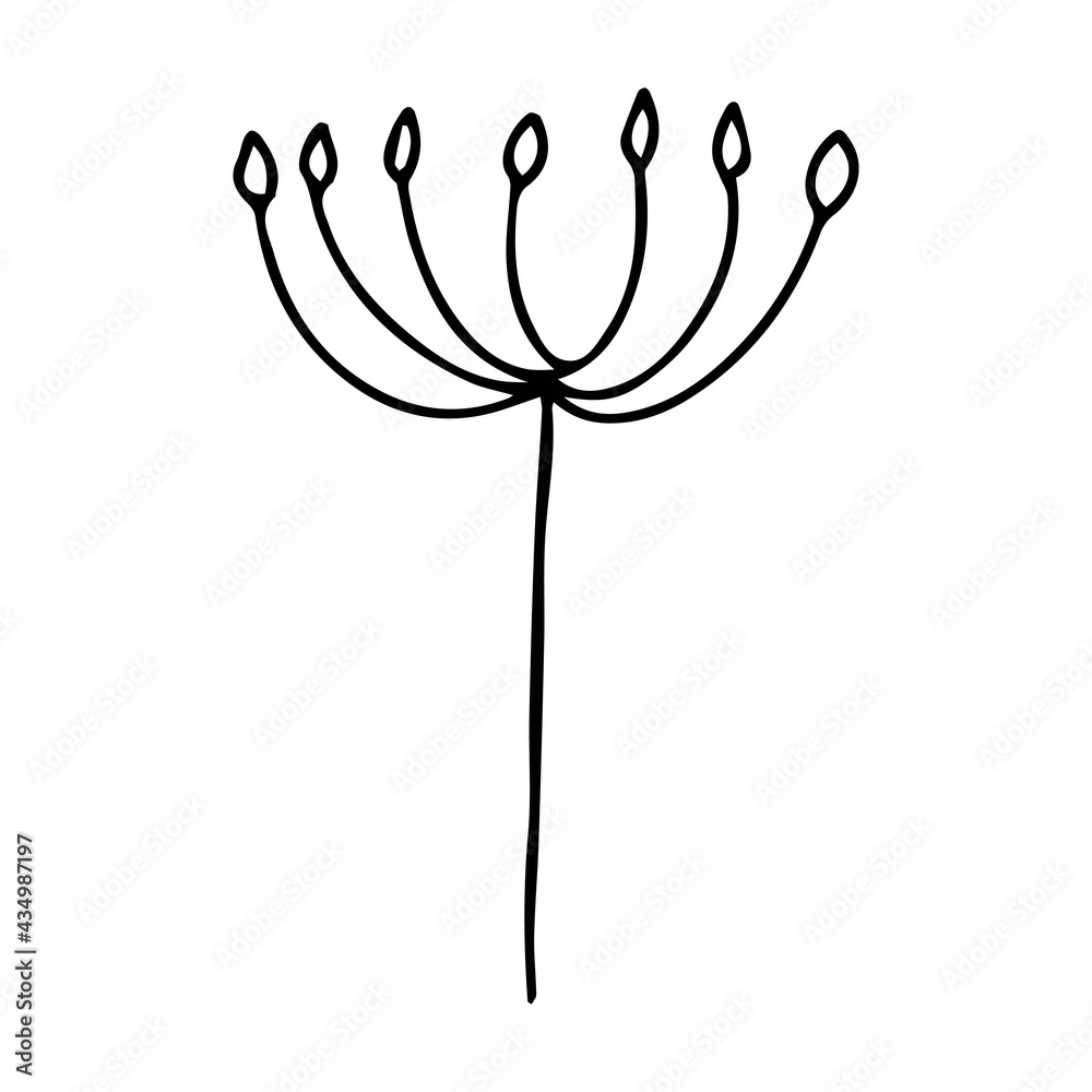 Vector illustration with a twig. Doodle style plant vector for banners and postcards.