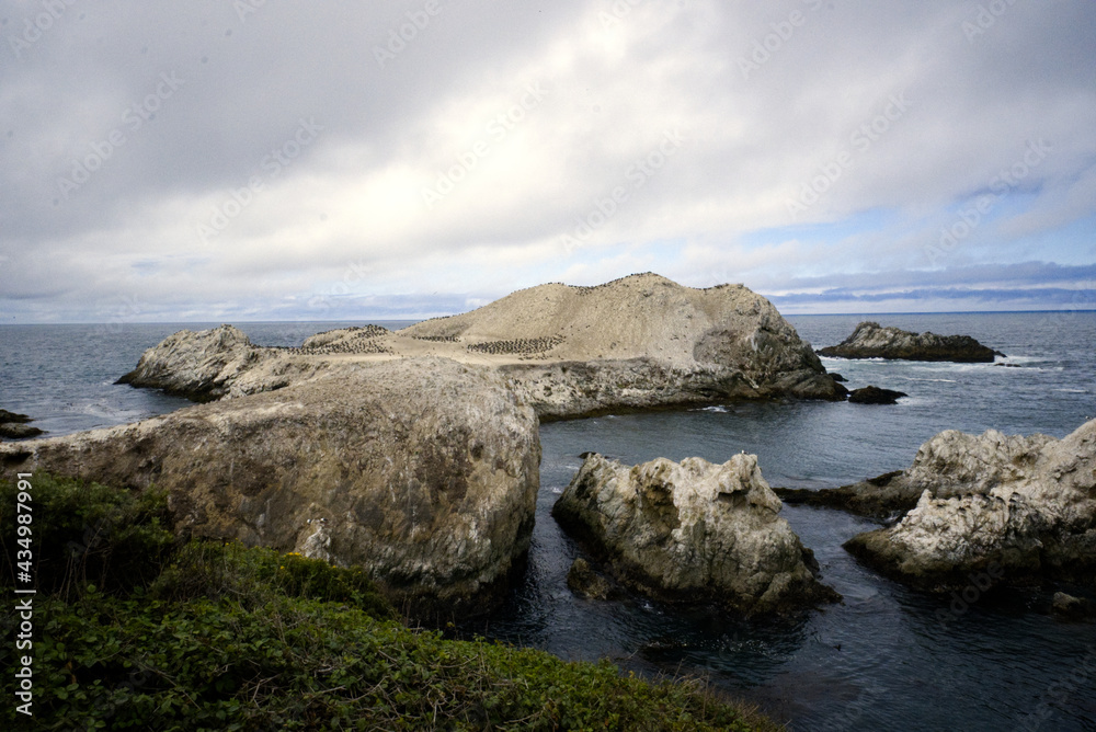 Point Lobos - Cormorant flock on rocks out to Sea